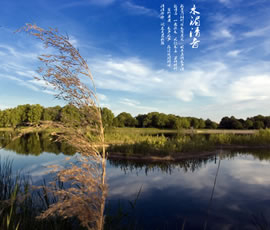 新義水鄉(xiāng)中醫(yī)藥浴康養(yǎng)、黃龍溪古鎮(zhèn)二日游