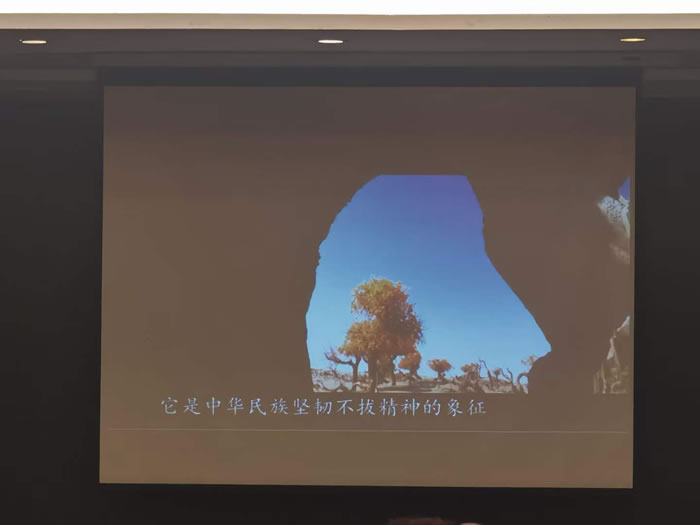 綿陽中旅行假日旅行社舉行胡楊林、南疆專列推薦會(huì)